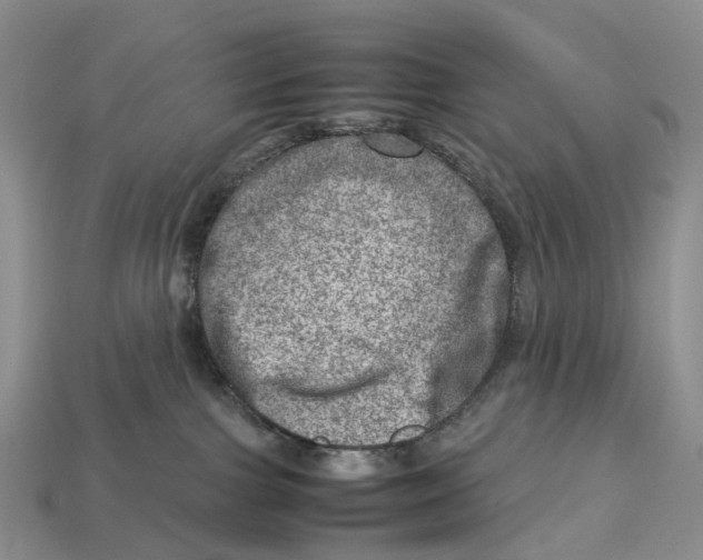 X0000112950091200909211203