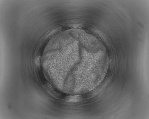 X0000112950093200909211203