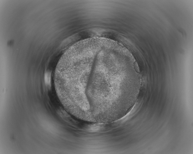X0000112950094200909211203
