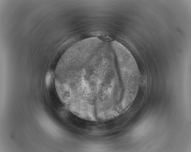 X0000112950095200909211203