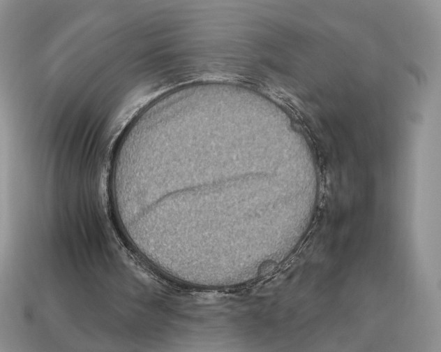 X0000112950098200909211203