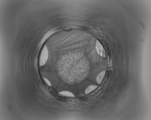 X0000112950099200909211203