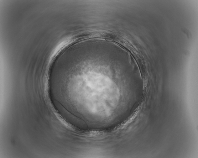 X0000112950101200909211202