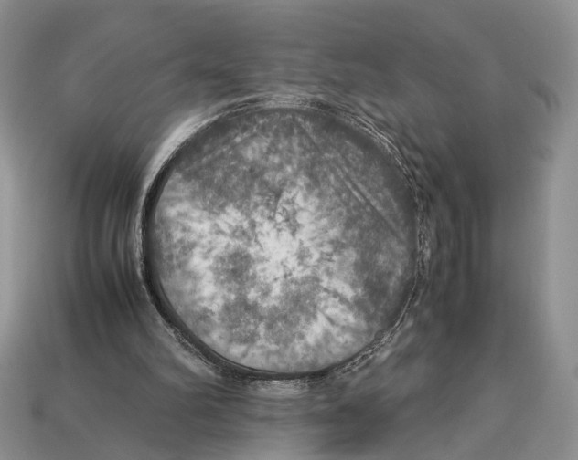 X0000112950102200909211202