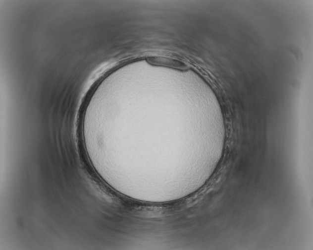 X0000112950104200909211202