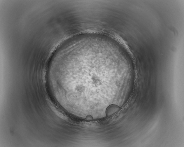 X0000112950106200909211202