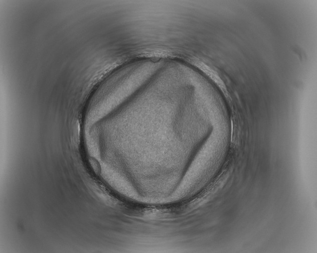 X0000112950109200909211202