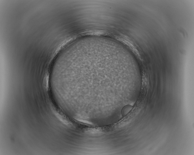 X0000112950110200909211202