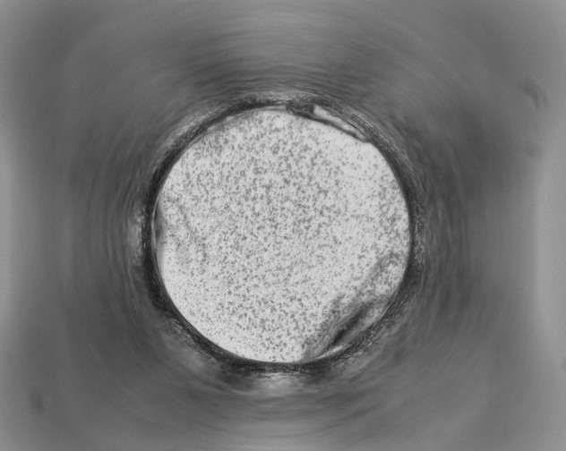 X0000112950111200909211202