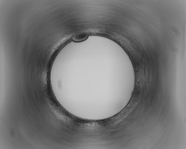X0000112950112200909211202