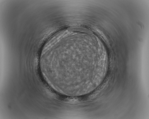 X0000112950113200909211202