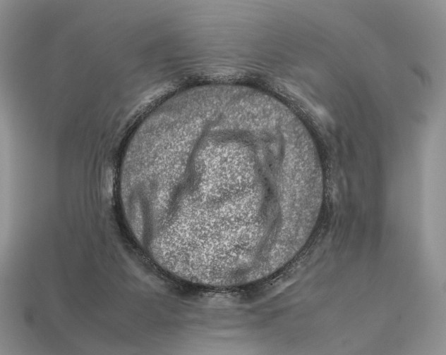 X0000112950115200909211202