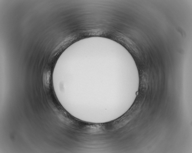 X0000112950118200909211202