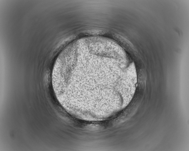 X0000112950119200909211202