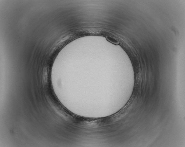 X0000112950120200909211202