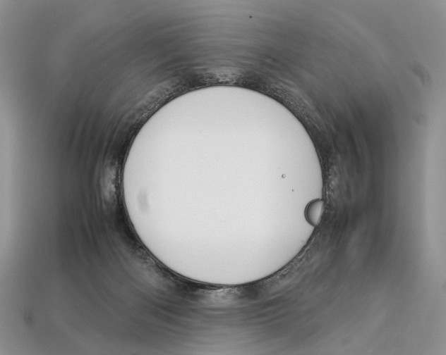 X0000112950122200909211202