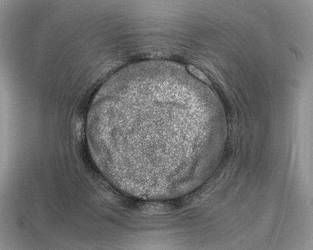 X0000112950123200909211202