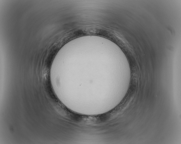 X0000112950125200909211202