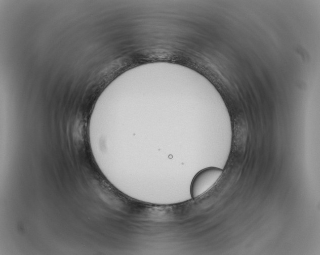 X0000112950126200909211202