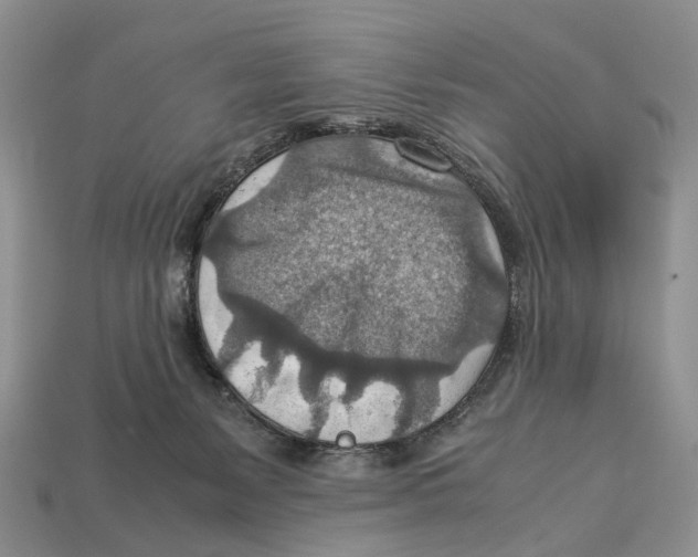 X0000112950127200909211202
