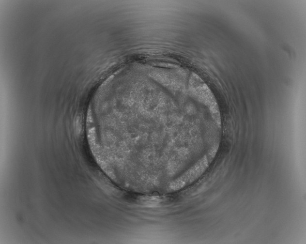 X0000112950131200909211202