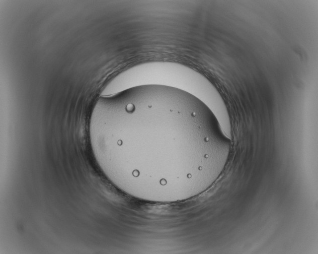 X0000112950132200909211202