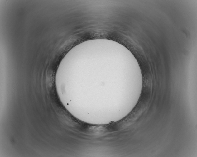 X0000112950133200909211202