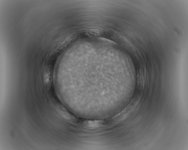 X0000112950134200909211202