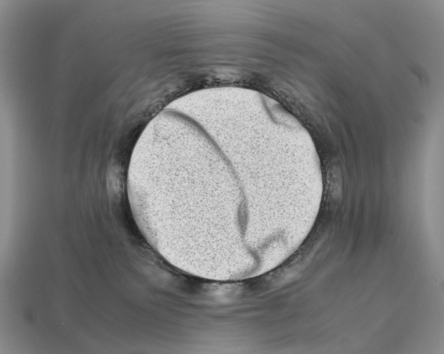 X0000112950135200909211202