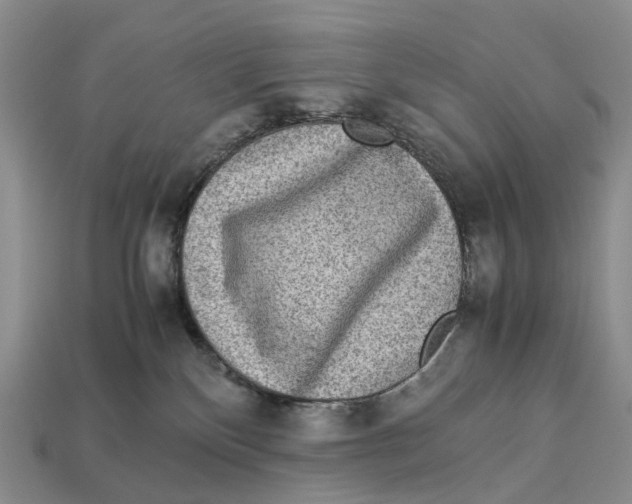 X0000112950136200909211202
