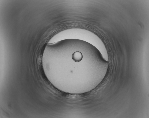 X0000112950137200909211202