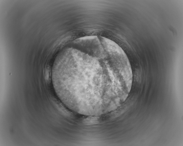 X0000112950138200909211202
