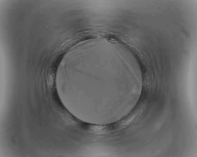 X0000112950139200909211202