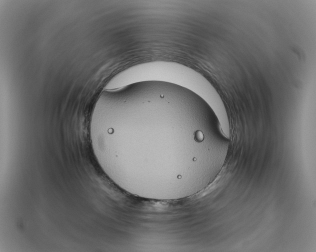 X0000112950140200909211202
