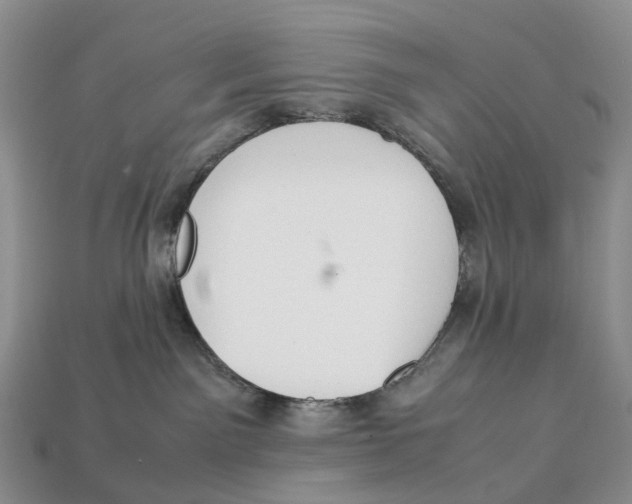 X0000112950141200909211202