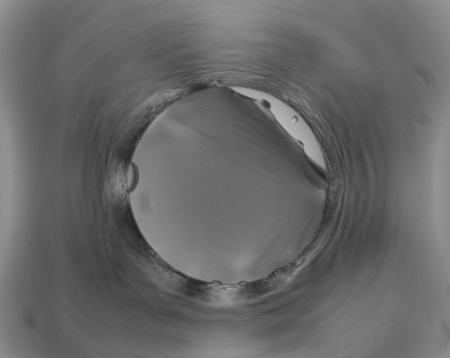 X0000112950143200909211202