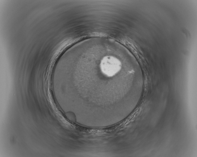 X0000112950145200909211201