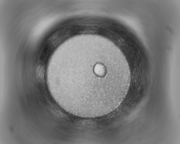 X0000112950146200909211201