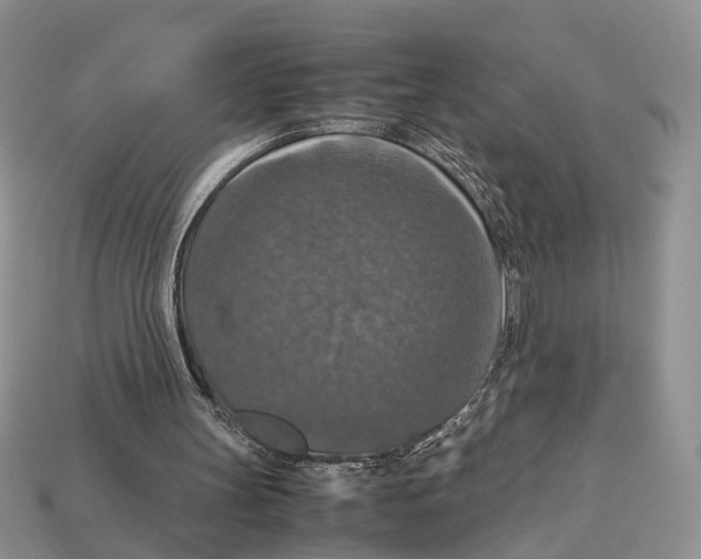 X0000112950147200909211201
