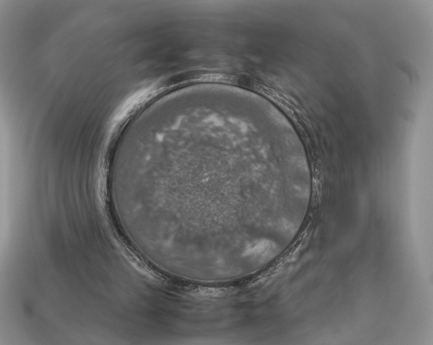 X0000112950149200909211201