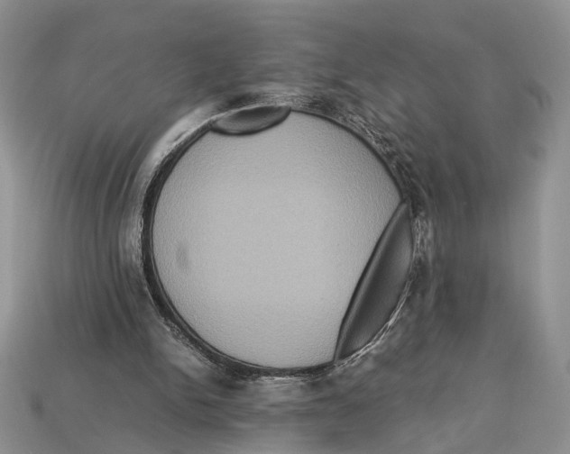 X0000112950150200909211201