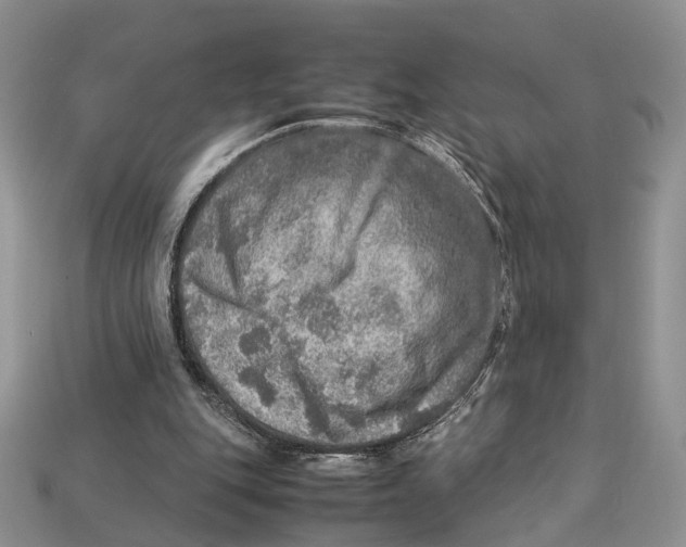 X0000112950151200909211201