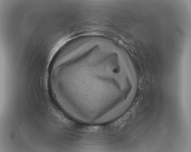 X0000112950152200909211201