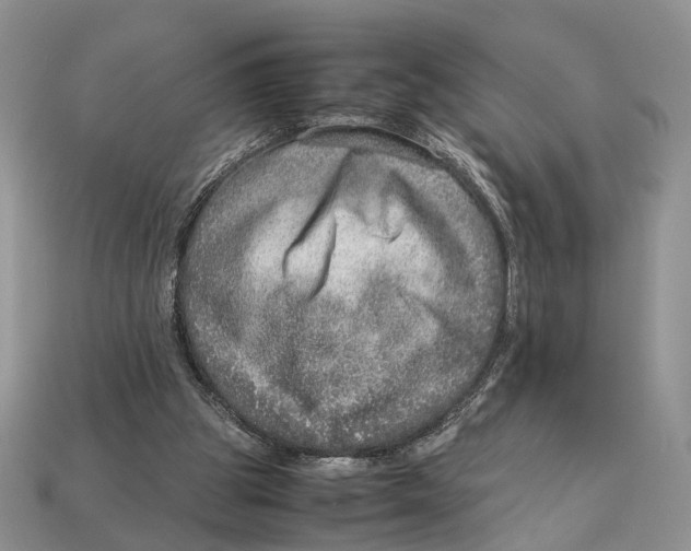 X0000112950153200909211201