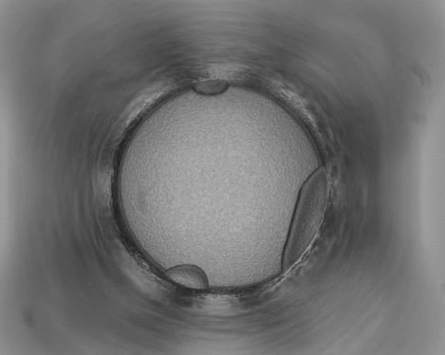 X0000112950154200909211201