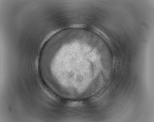 X0000112950155200909211201