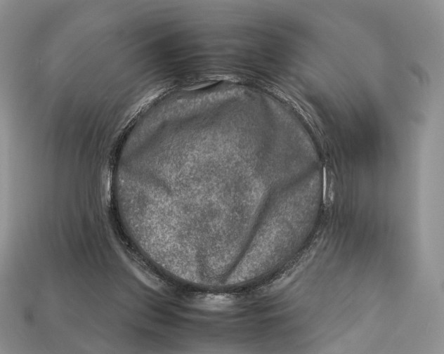 X0000112950157200909211201