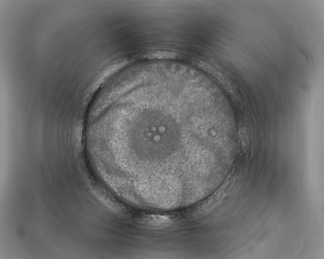 X0000112950159200909211201