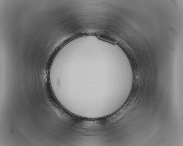X0000112950160200909211201
