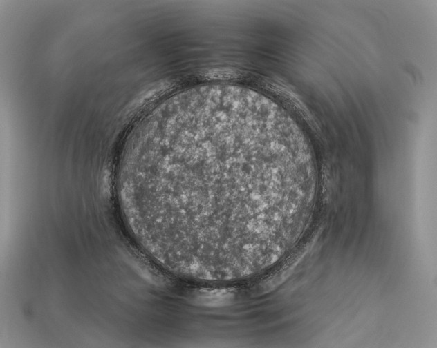 X0000112950161200909211202